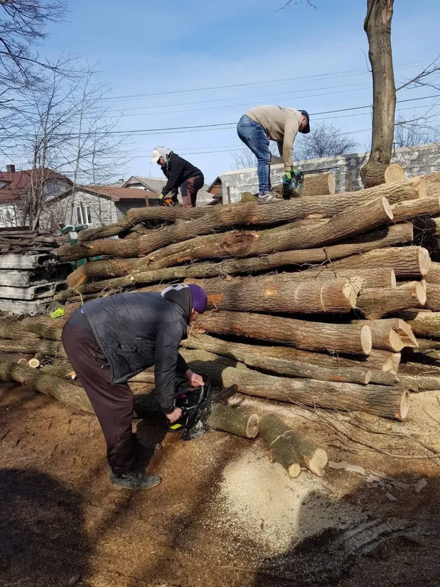 Лісовоз з десятьма «кубами» обійшовся з доставленням у 14 тисяч гривень. Фото: Ярослав Дмитрів