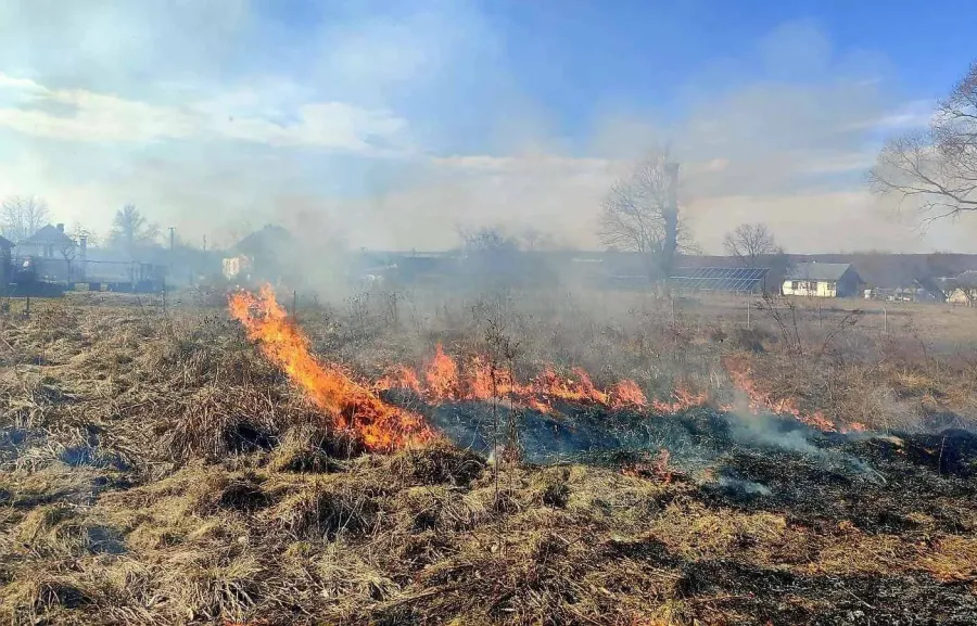 На паліїв працівники муніципальної інспекції склали два адмінпротоколи