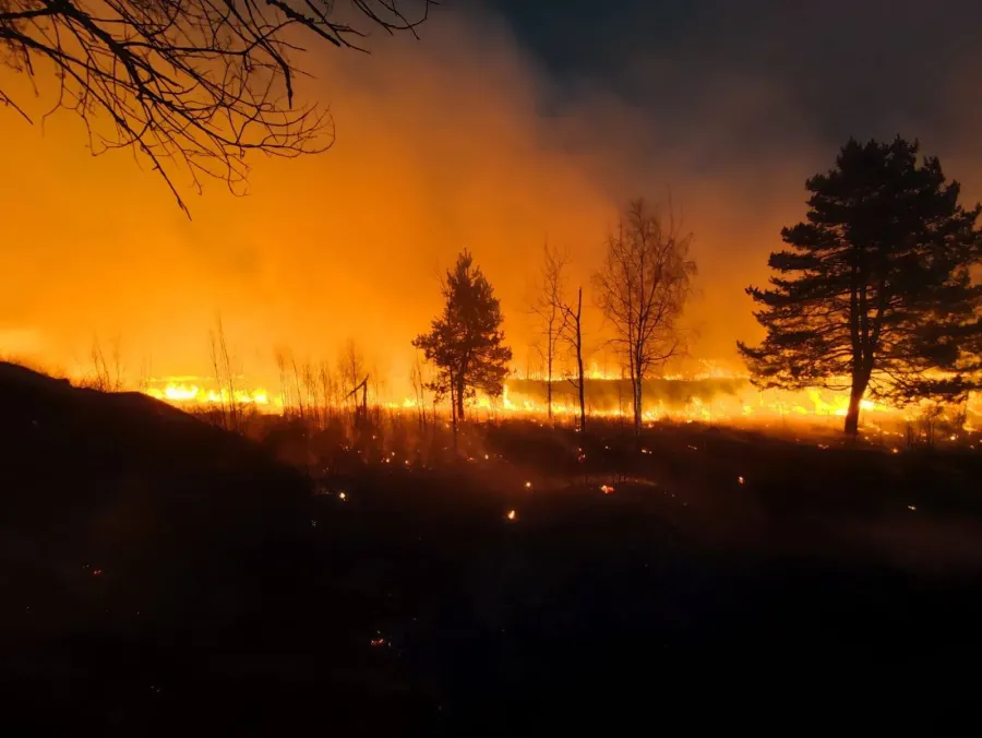 Високі штрафи не зупиняють паліїв сухостою