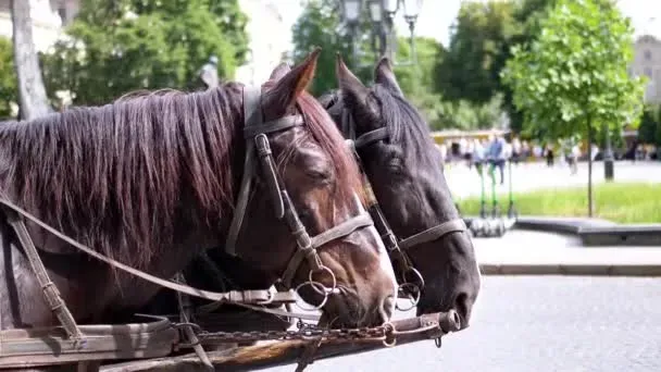 Ілюстроване фото. Слідчі будуть встановлювати, що саме стало причиною аварії та хто є її винуватцем