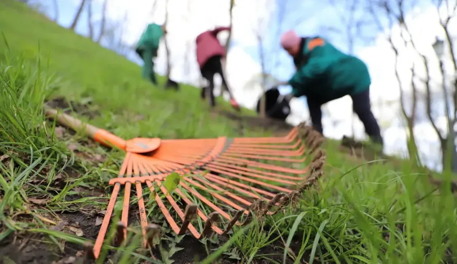 Ілюстроване фото. До толоки запрошують доєднуватись усіх охочих