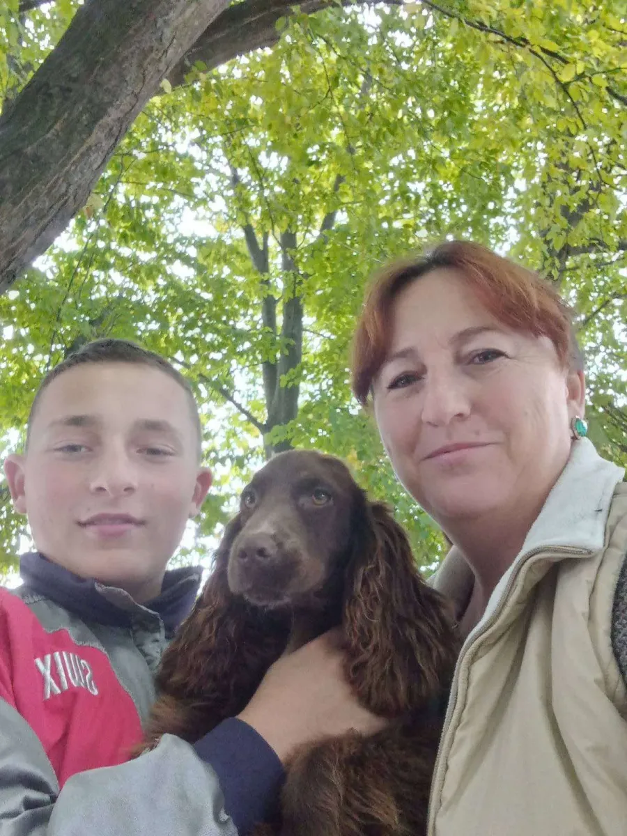 Кокер спаніель Соня любить подорожі в авто та ласувати м'ясом. Фото: з архіву родини Гладеньких