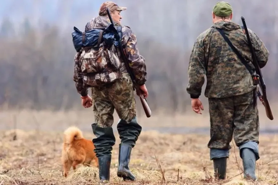 Ілюстроване фото. на Івано-Франківщині впродовж 2024 року склали 70 протоколів за браконьєрство