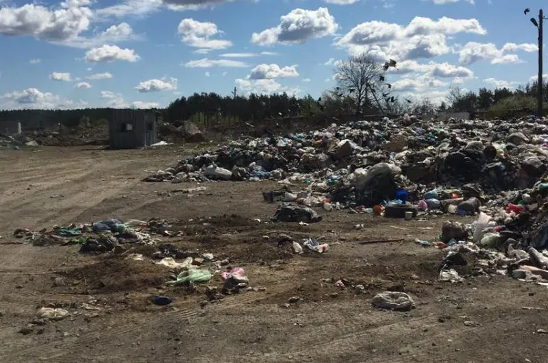 Ілюстроване фото. Такими діями заподіяно шкоду довкіллю на майже 300 000 гривень