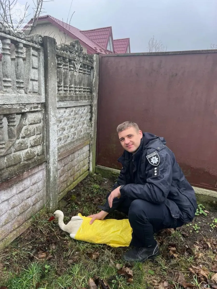 Поліцейські подбали про пораненого лелеку