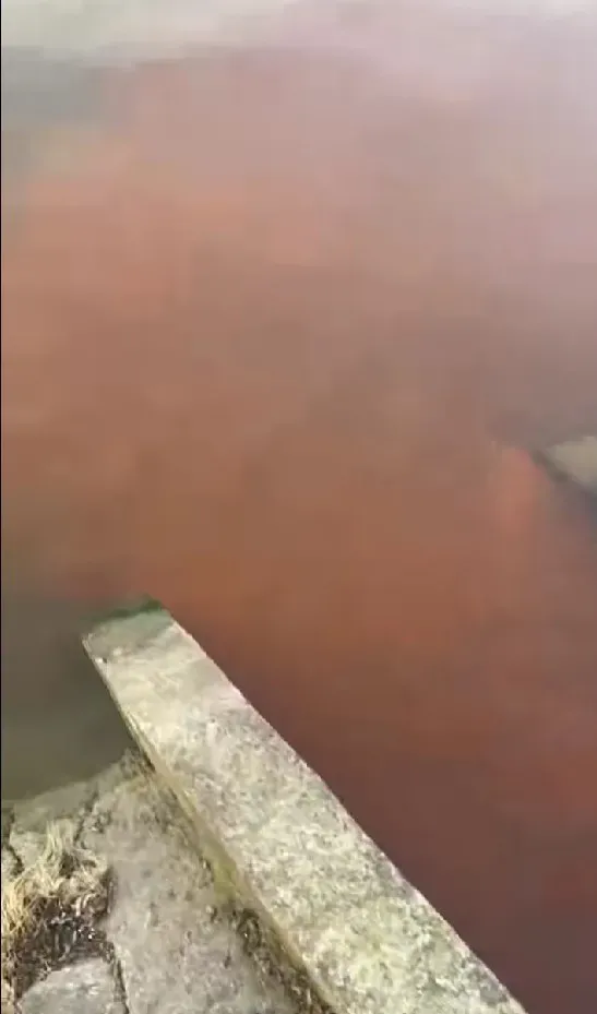 Із труби рідина витікає у міське озеро. Фото: скрін із відео