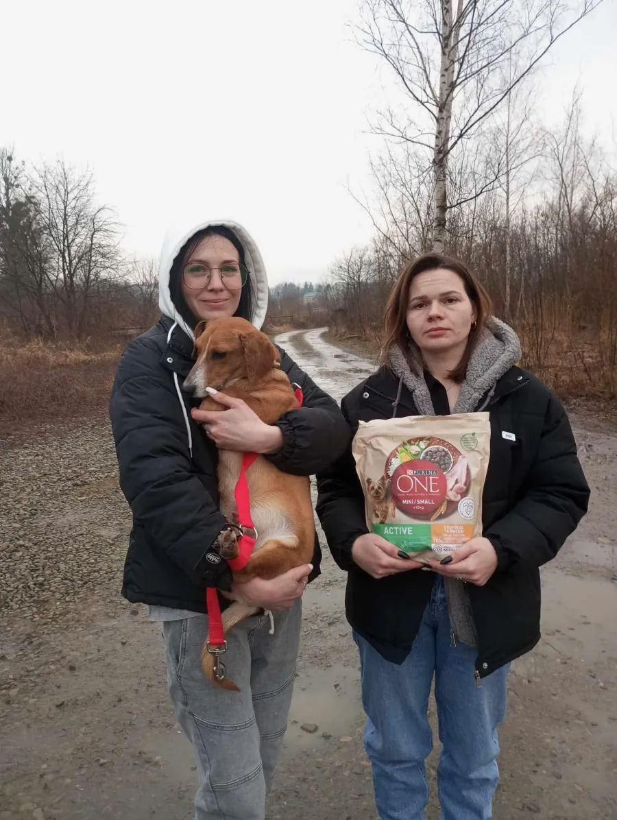 Тваринки отримали люблячих господарів та нові домівки