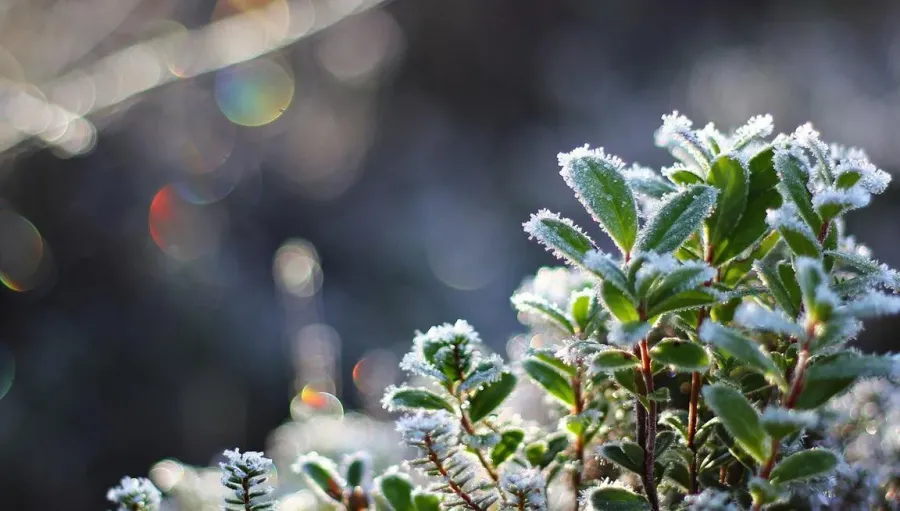 Ілюстроване фото. Погодні умови призведуть до ускладнення роботи енергетичних та комунальних підприємств