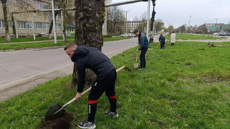 Троє студентів, котрі вчаться на автослюсарів, сьогодні за пів години посадили 15 дерев