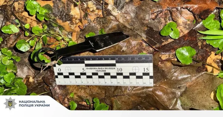 Досудове розслідування триває