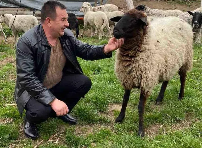 20 овець ветеран придбав за кошти гранту від Українського ветеранського фонду