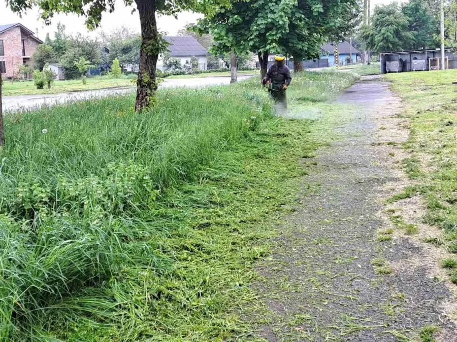 Одна людина за робочий день скошує площу до 1000 метрів квадратних
