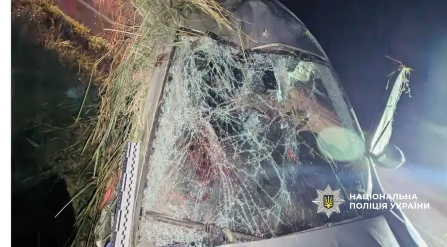 Водійка допустила з'їзд із проїжджої частини дороги у кювет, де автомобіль перекинувся