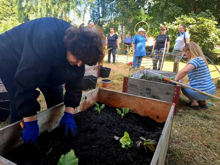 Доглядати за новими клумбами зголосилася пані Зіна — пенсіонерка з Лимана