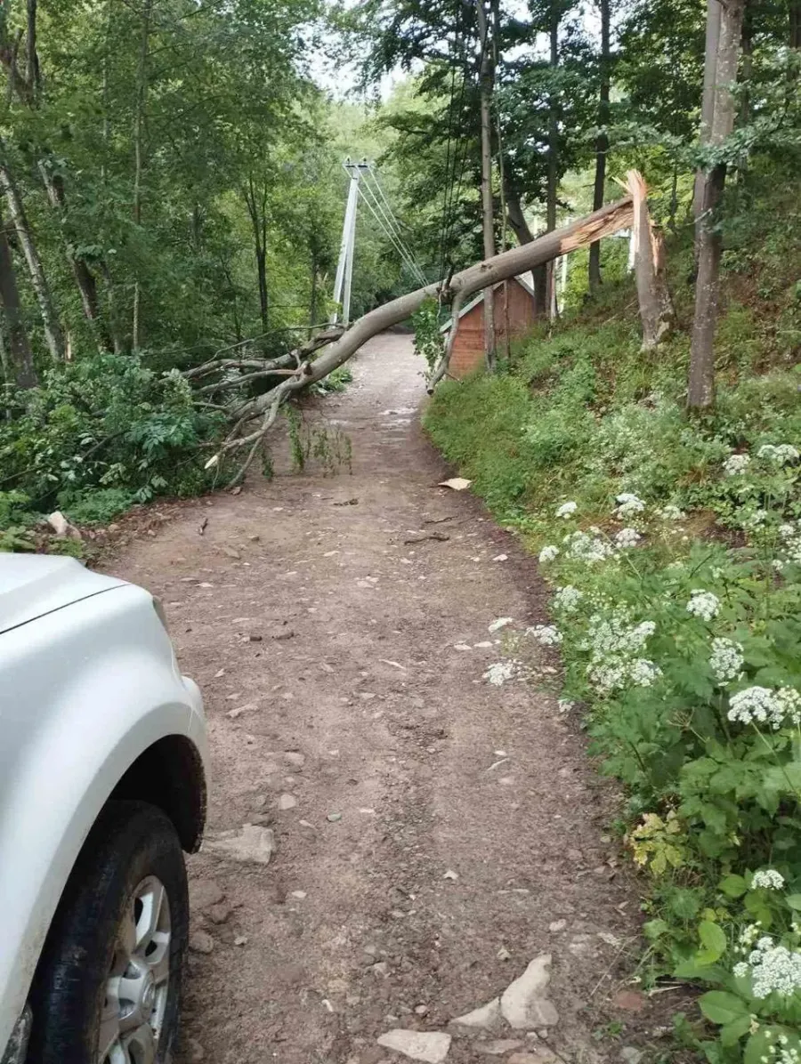 Негода спричинила нові аварії на електромережах