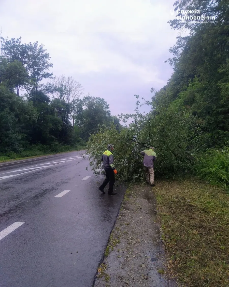 Повалені дерева створювали загрозу для руху транспорту