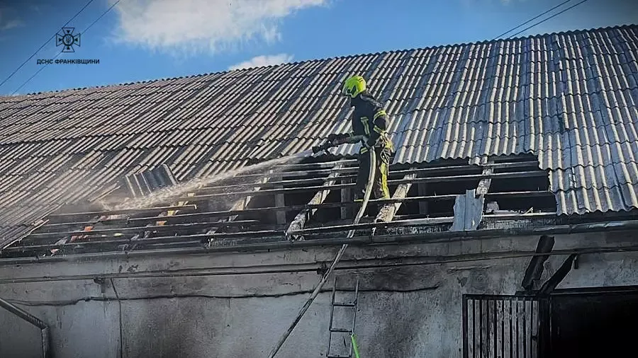 Через пожежу ніхто не постраждав. Фото: ДСНС