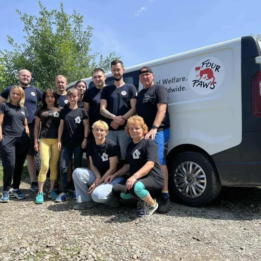Фахівці "Чотирьох лап" простерилізували 91 собаку і 159 котів. Фото: "Дім Сірка м Калуш"