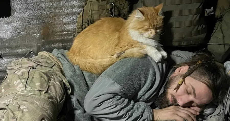 Разом з Максимом Кривцовим загинув і його кіт