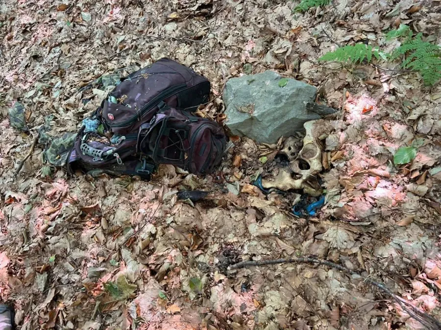 Один скелет, ймовірно, через диких тварин був пошкоджений та неповний. Фото: Західне регіональне управління ДПСУ