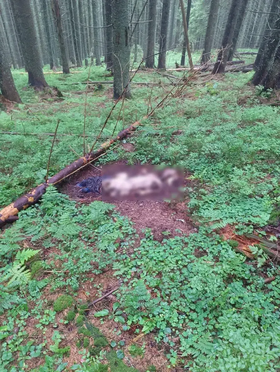 Ознак насильницьких дій судово-медична експертиза не виявила. Фото: Західне регіональне управління Держприкордонслужби України