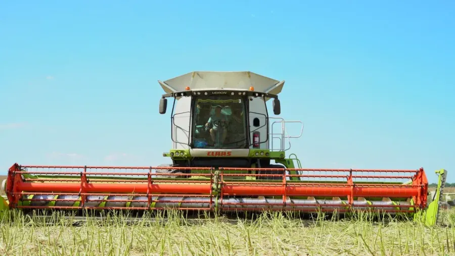 Вирощене зерно компанія перетворює на власні корми для свійських тварин
