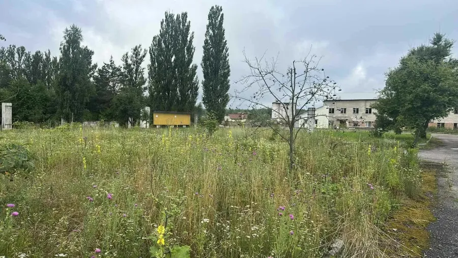 Ілюстроване фото. У Калуші продають промислову землю