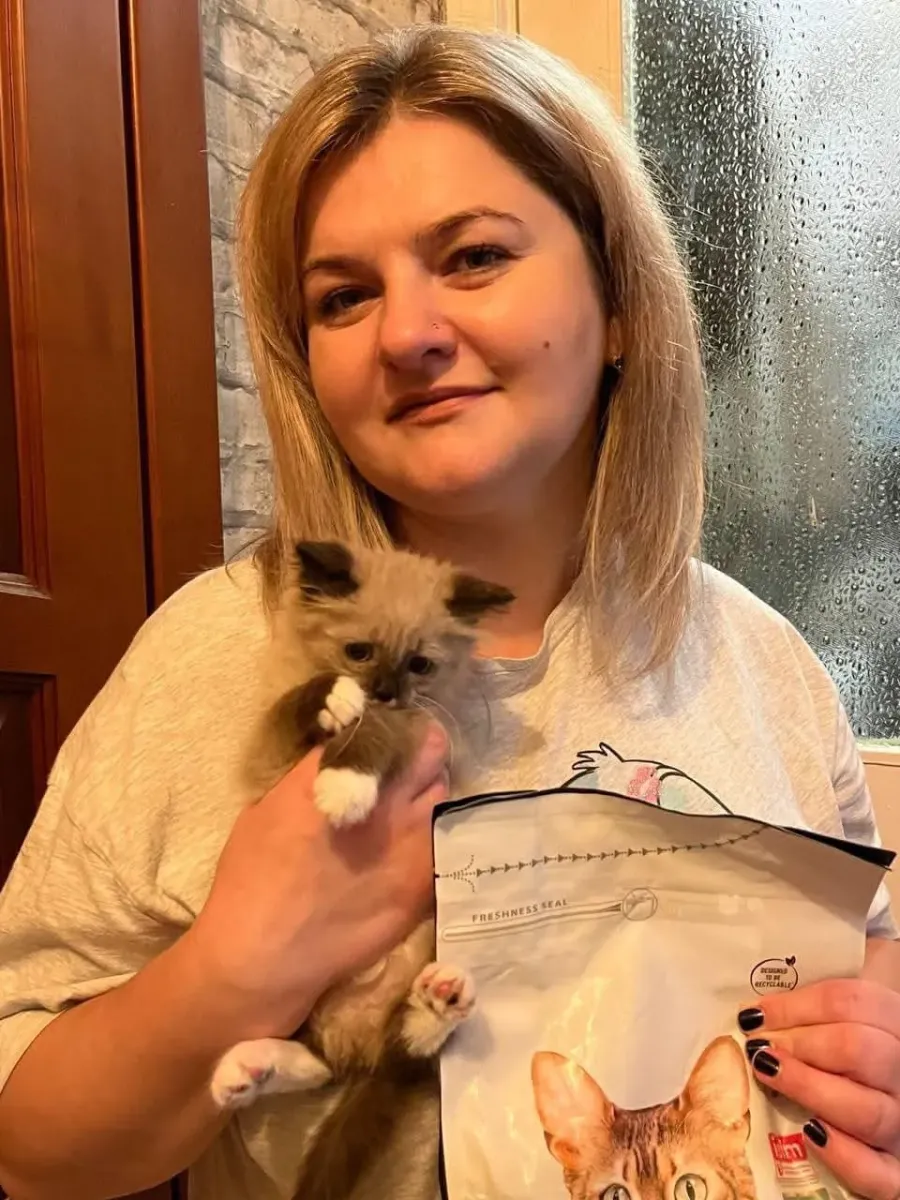 За ці кілька тижнів свої родини знайшли 9 собак та 14 котиків