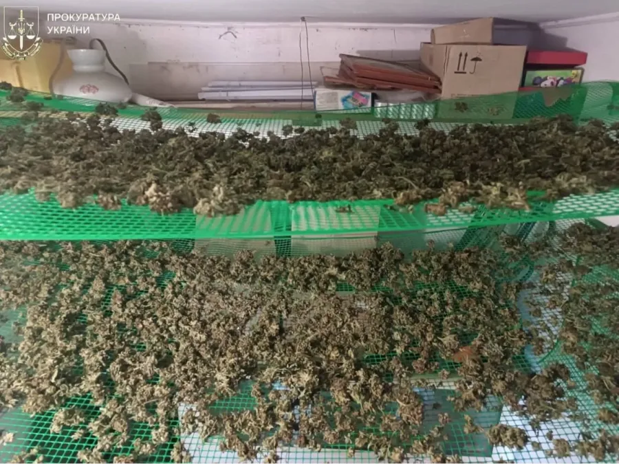 У ході обшуків вилучили наркотичні речовини