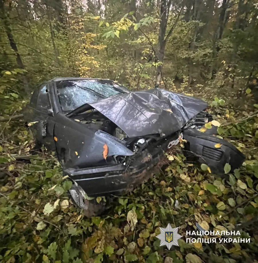 Аварію спричинив 69-річний мешканець Миколаєва