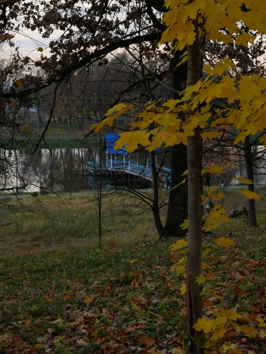 Осінній парк імені Івана Франка. Фото: Ірина Дідошак