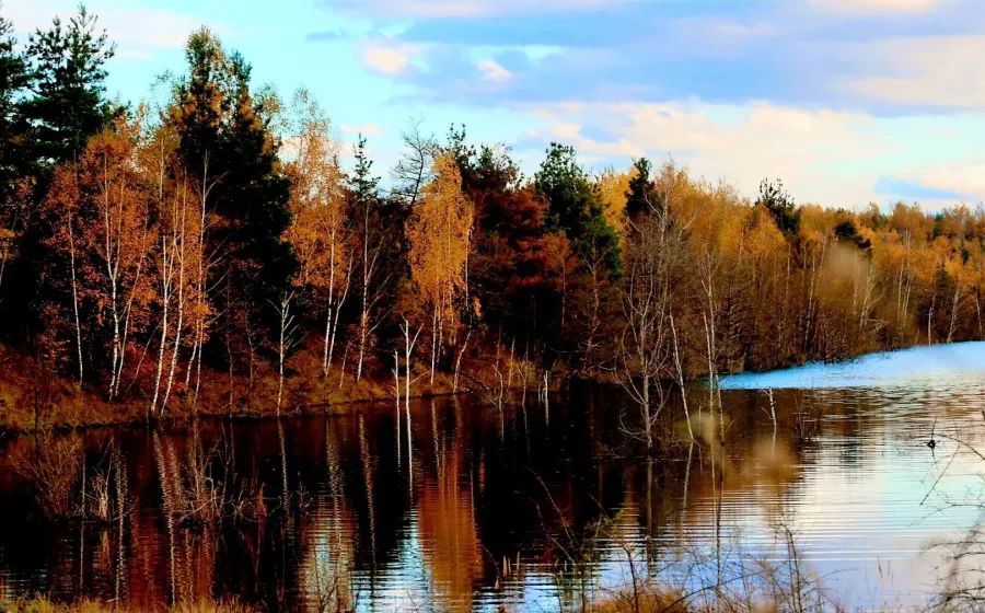 Фото: Natali Kovalska/Фейсбук