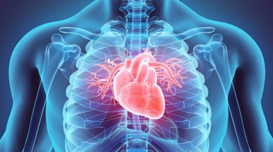 Ілюстроване фото. Коронарографія — це швидка, інформативна і безпечна процедура, яка часто рятує життя