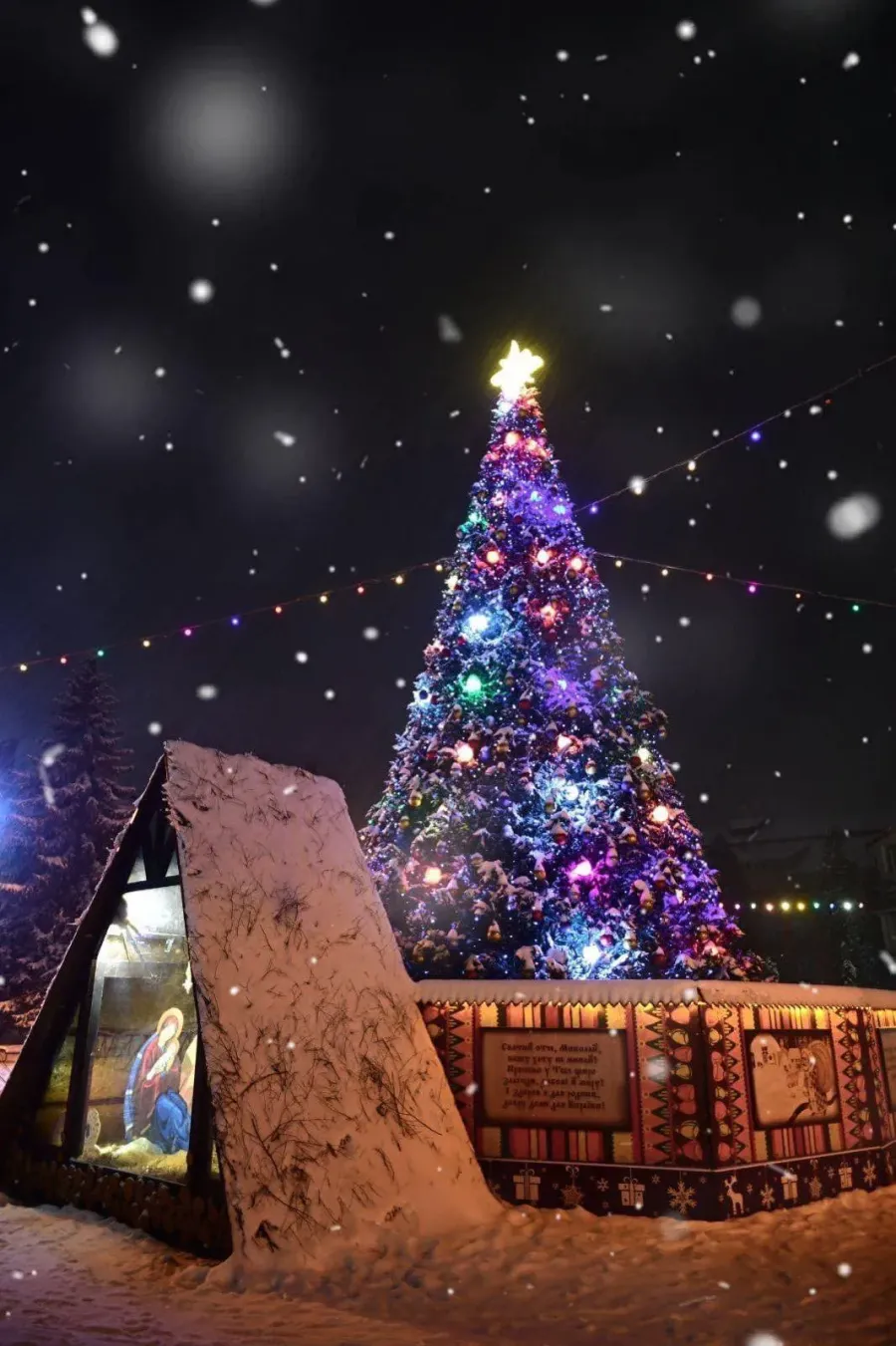 Ілюстроване фото. Відповідно до результатів опитування, ялинку у Надвірній буде встановлено