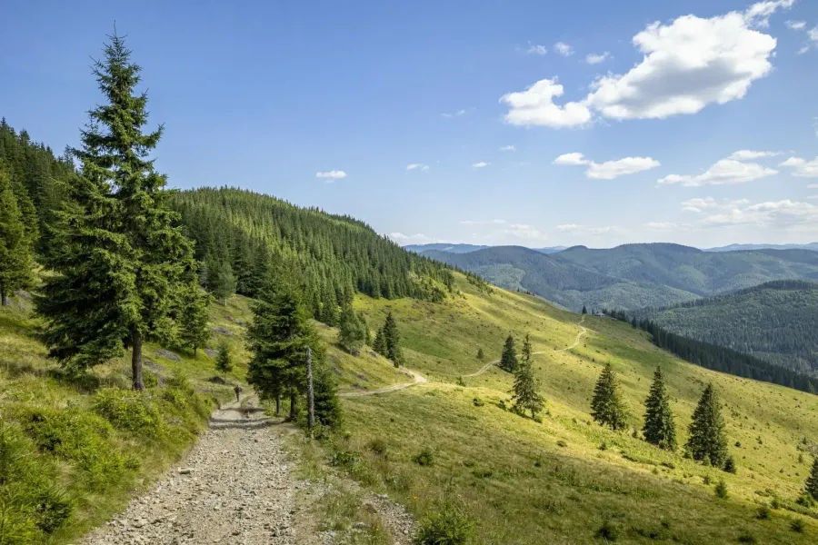 Ілюстроване фото. На новоприєднаній території планують збудувати кемпінговий павільйон та візит-центр 