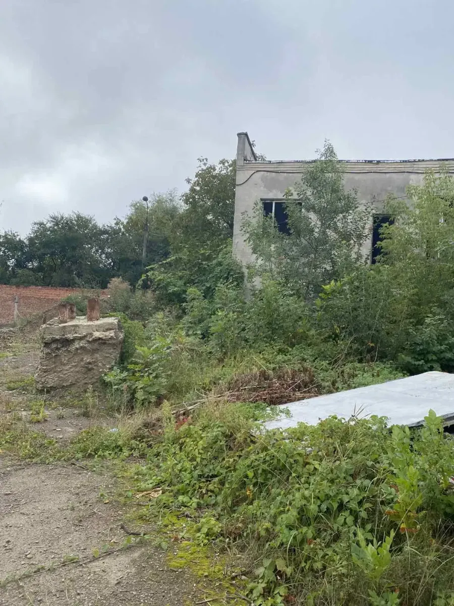 Покупець у повному обсязі сплатив запропоновану ціну