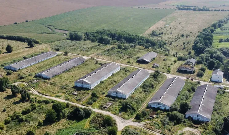 Ілюстроване фото. Сьогодні «Goodvalley Ukraine» — один із трьох топових виробників свинини в країні