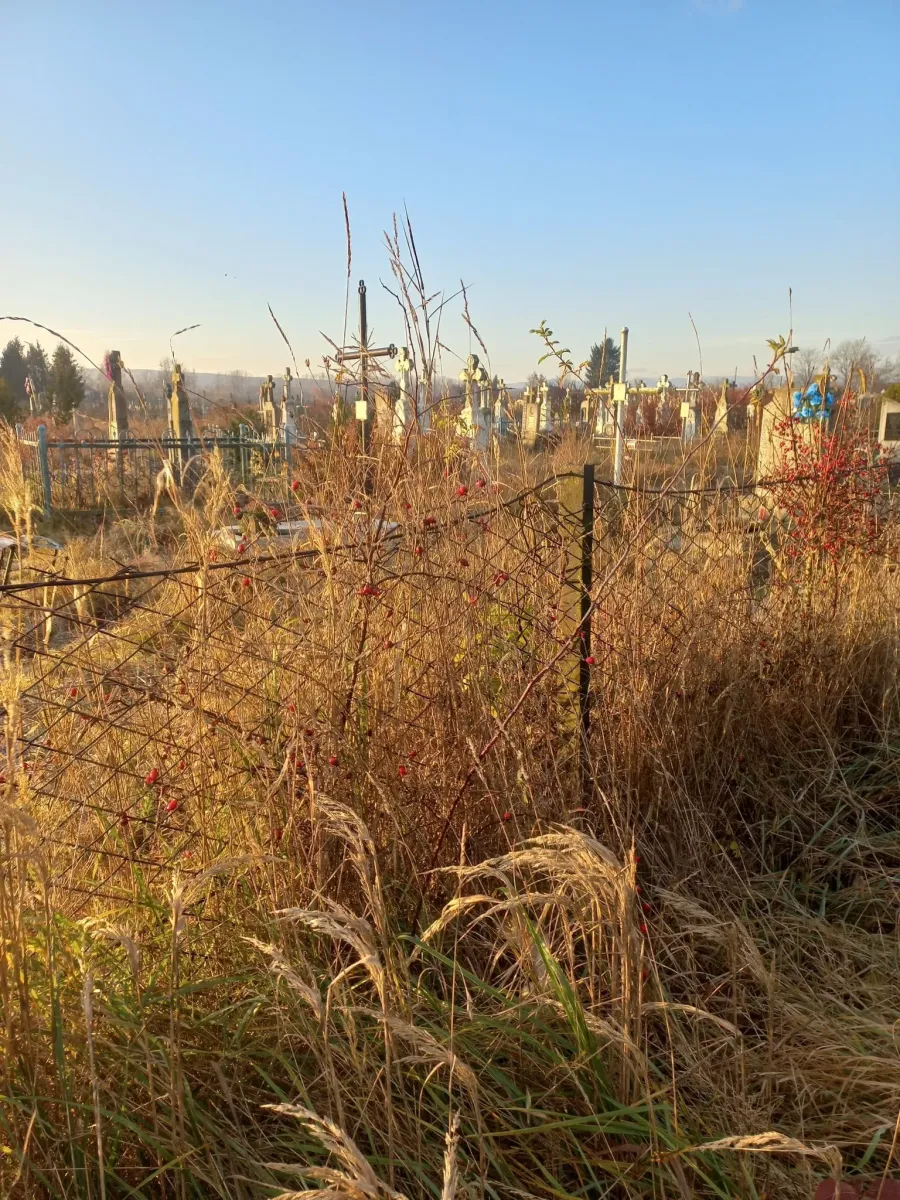 Чоловіки косили, жінки — вирубували самосів дерев. Фото: Галина Гелега