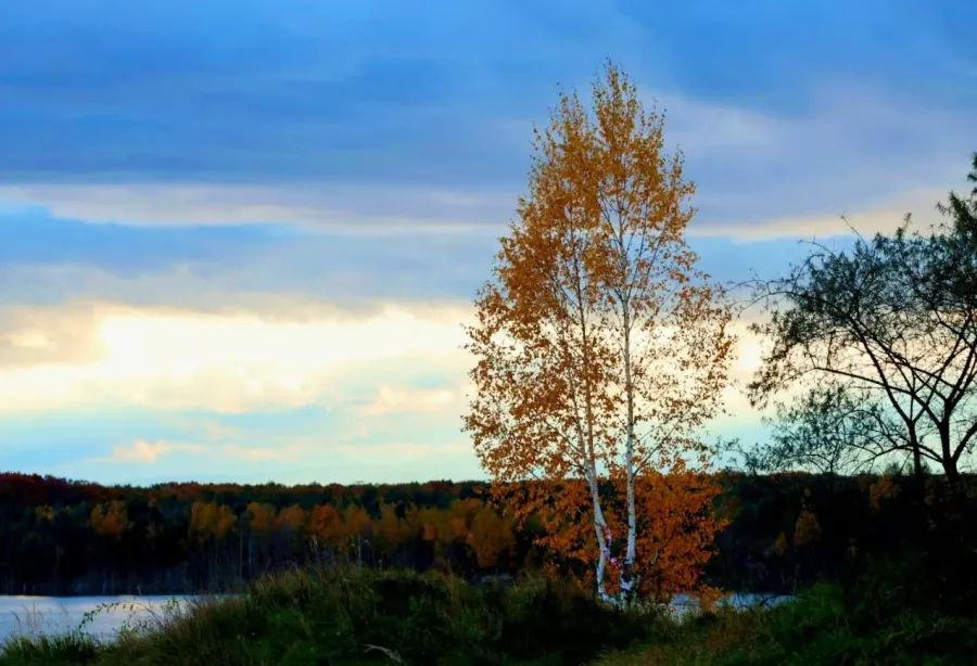 Фото: Наталя Ковальська
