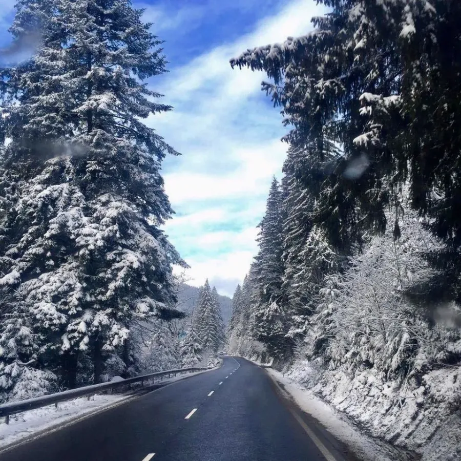 Ілюстроване фото. Причиною скасування тендеру вказана "відсутність подальшої потреби в закупівлі товарів, робіт і послуг"