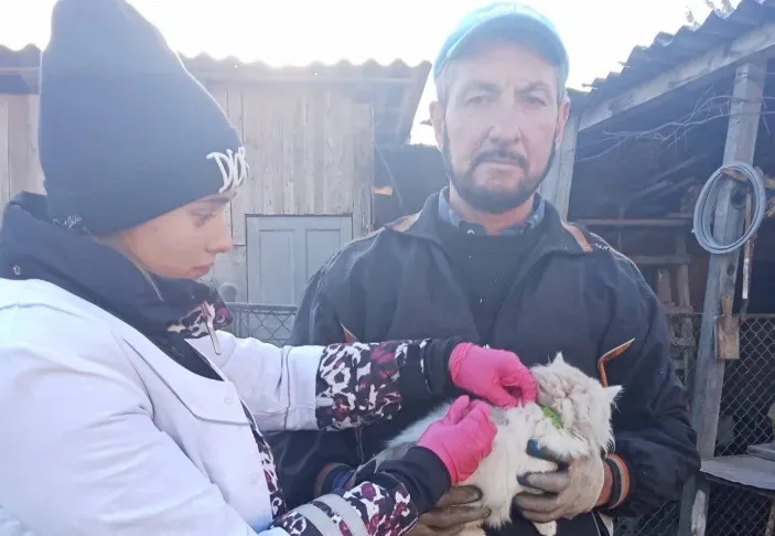 Минулого тижня провакциновано 5 771 тварин проти сказу