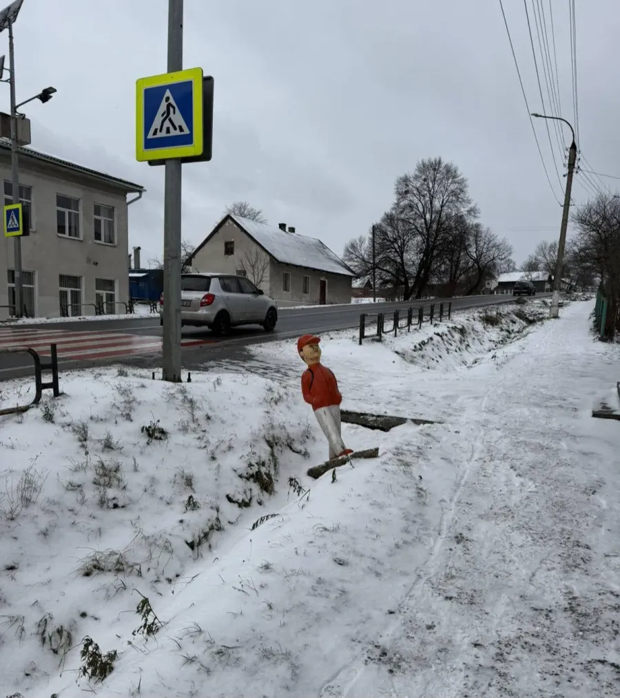 Дорожні знаки біля Боднарівського ліцею пошкодили