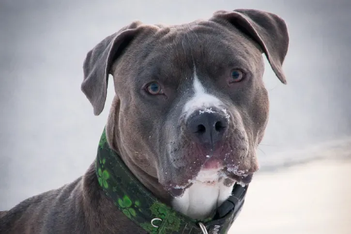 Ілюстроване фото. Суд відправив протокол, складений поліцією, на доопрацювання