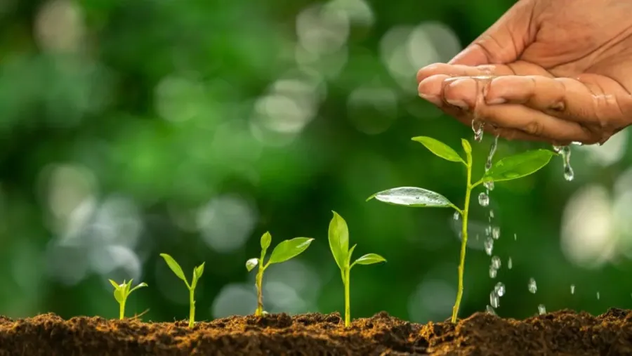 Ілюстроване фото. Проєкт спрямований на підтримку домогосподарств ВПО