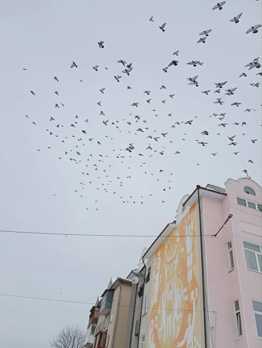 Зимовий Калуш. Фото: Ірина Дідошак