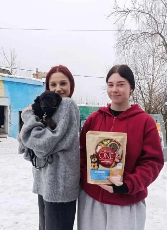 Тваринкам знайшли люблячих господарів. Фото: "Дім Сірка"