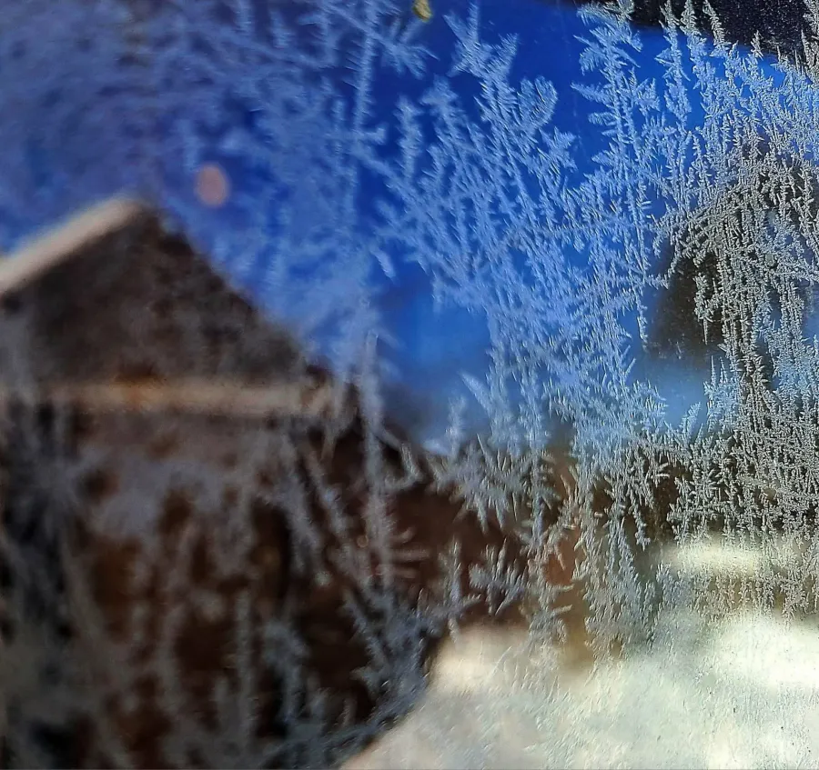 Фото: Natali Kovalska/Фейсбук