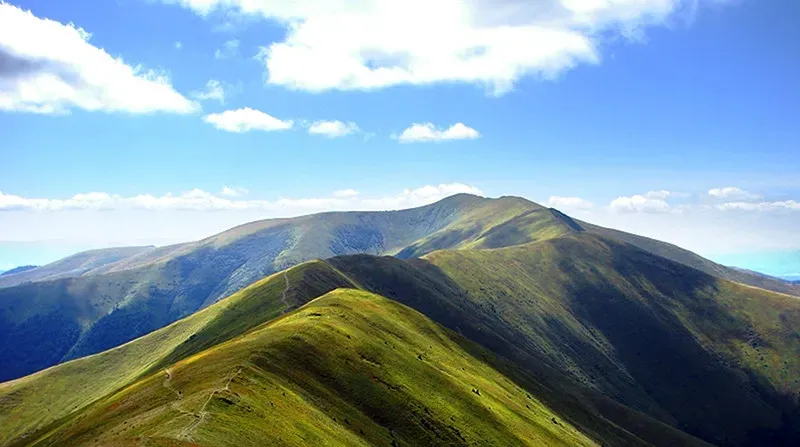 460 гектарів землі на полонині Боржава продали за 89,5 млн гривень