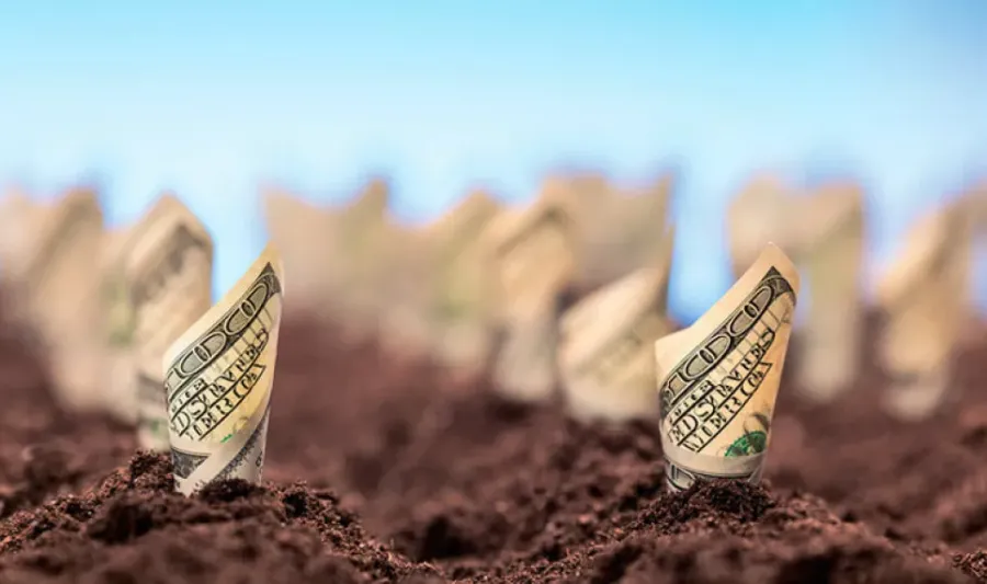 Ілюстроване фото. Переможниця тендеру Наталія Волчак запропонувала 15 млн гривень