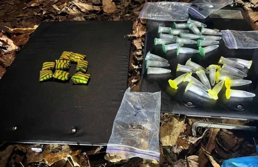 Ілюстроване фото. Наркоторговець встановив майже 60 «закладок» у лісовому масиві